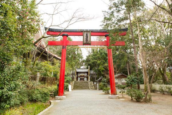 https://www.db.kansai-maas.jp/image/photos/4eed0c57-fe86-40e4-9c41-5733b5976a07.jpg