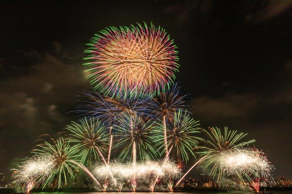 https://www.db.kansai-maas.jp/image/photos/4f1425b9-d0d6-4f83-a417-4545e753de9d.jpg