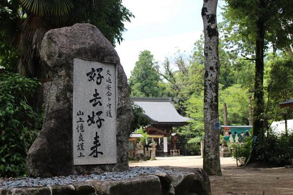 https://www.db.kansai-maas.jp/image/photos/5146afff-330f-40ba-9427-2827215b1d06.jpg