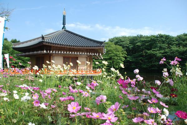 https://www.db.kansai-maas.jp/image/photos/516b3438-788a-4b57-8fcd-58c5023edb7e.jpg