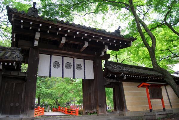 https://www.db.kansai-maas.jp/image/photos/520327a0-6b58-4731-8672-d9b64a157ce6.jpg