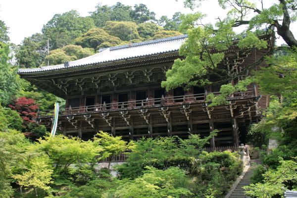 https://www.db.kansai-maas.jp/image/photos/527459b4-065e-4473-a026-8837f0cb324f.jpg