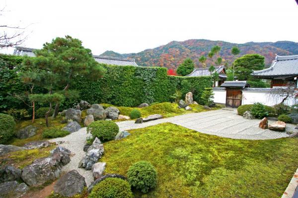 https://www.db.kansai-maas.jp/image/photos/528c208a-2aa8-4320-ae3f-22d8b3d16926.jpg