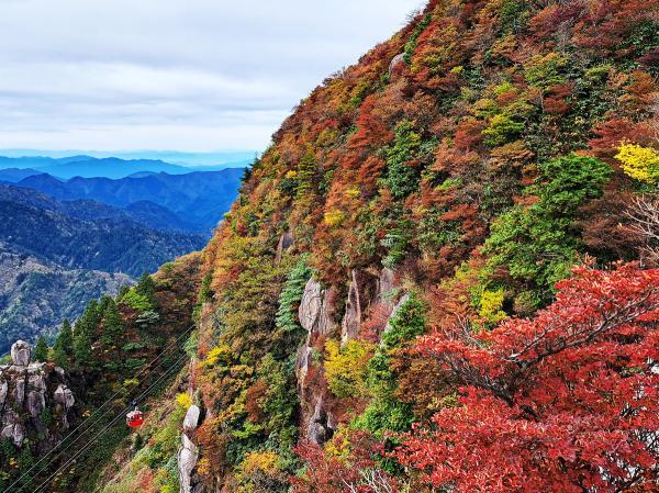 https://www.db.kansai-maas.jp/image/photos/529f5c09-5011-4c57-9d3f-b7b07506dd92.jpg