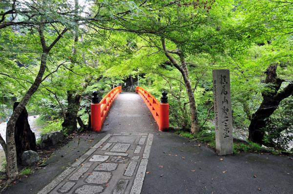 https://www.db.kansai-maas.jp/image/photos/52d13f3e-33d0-4d70-85a6-ea0d971c48e3.jpg
