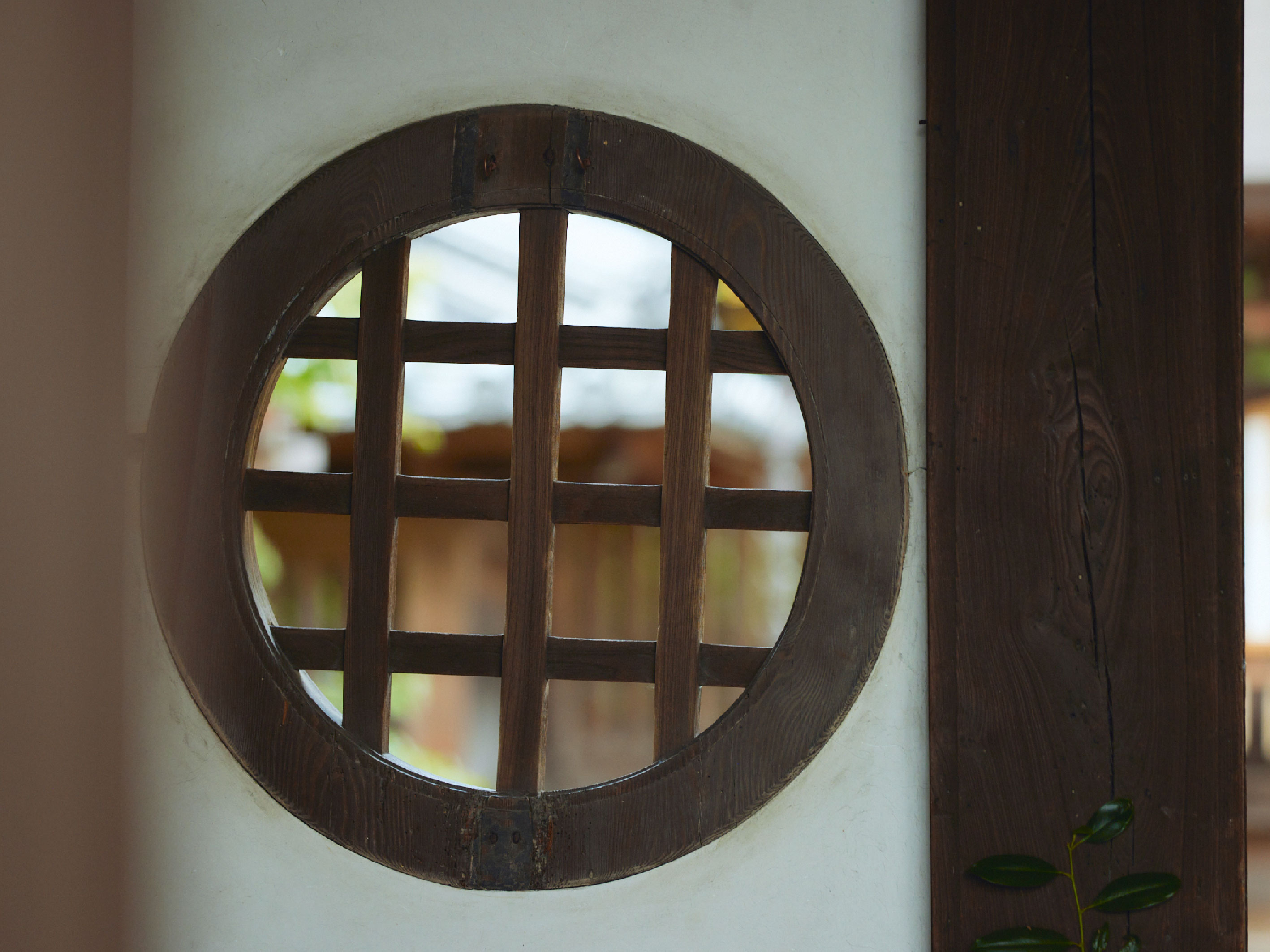https://www.db.kansai-maas.jp/image/photos/53a3b3be-6d10-4a61-b1b8-f69b173badcd.jpg