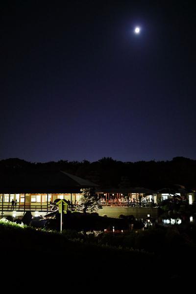 https://www.db.kansai-maas.jp/image/photos/544d80ed-3030-47d8-85b0-c4ed06d9a130.jpg