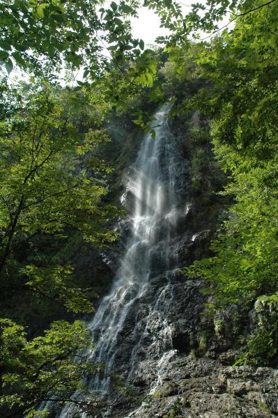 https://www.db.kansai-maas.jp/image/photos/55302836-53c4-4768-8597-c67cc9ce2bf5.jpg