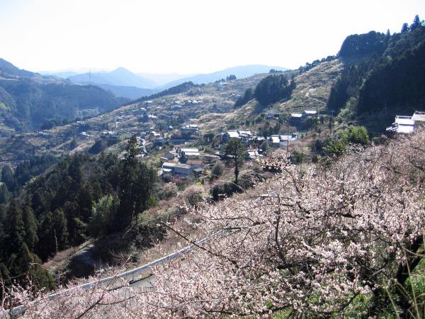 https://www.db.kansai-maas.jp/image/photos/55dcc42d-e958-4f98-b781-789dea0cde66.jpg