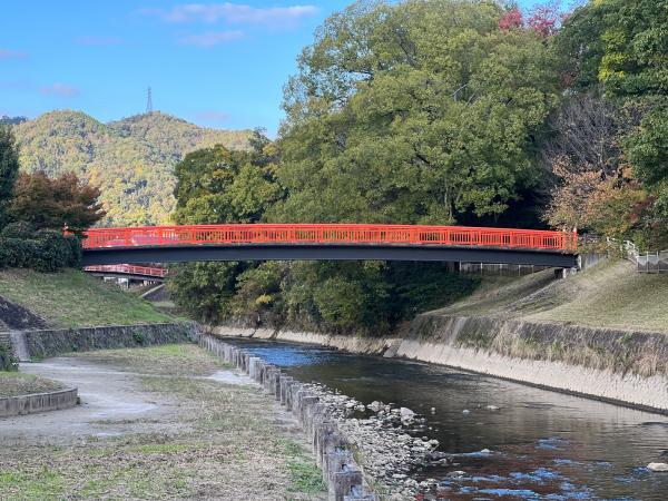 https://www.db.kansai-maas.jp/image/photos/56662d31-6ac8-4619-a2de-1585680234e1.jpg