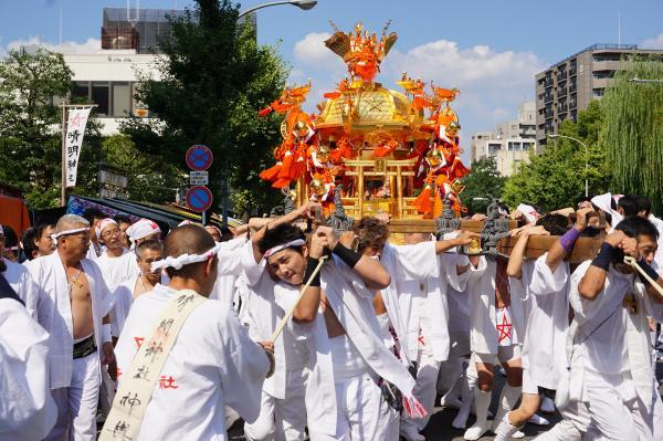 https://www.db.kansai-maas.jp/image/photos/569e849c-ea1b-4135-8ea3-8c22354343e2.jpg