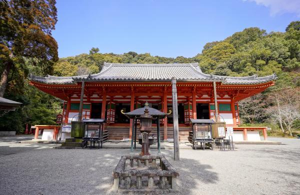 https://www.db.kansai-maas.jp/image/photos/5840610a-0b05-469b-8e05-5ecdb366cd1b.jpg