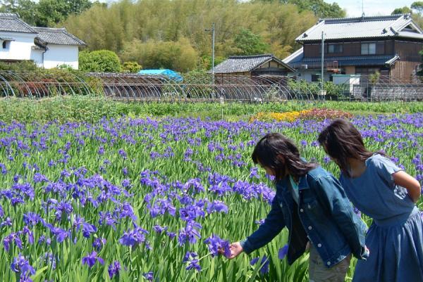 https://www.db.kansai-maas.jp/image/photos/58bbeac9-6b88-4108-953e-5b2593882f56.jpg