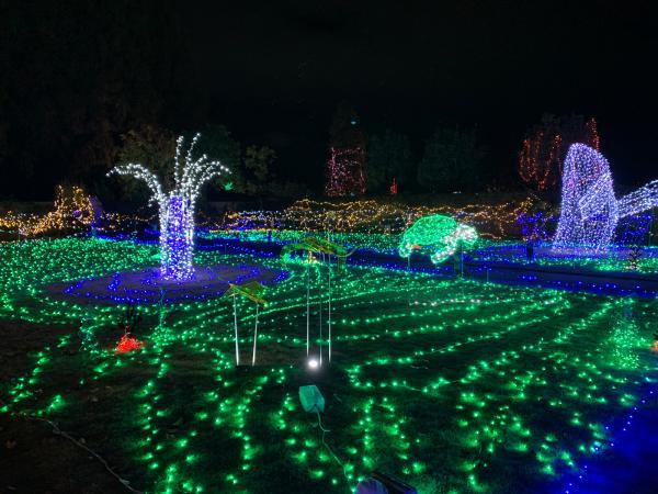 https://www.db.kansai-maas.jp/image/photos/595112a8-99ab-428e-9d2e-de2c56b62620.jpg