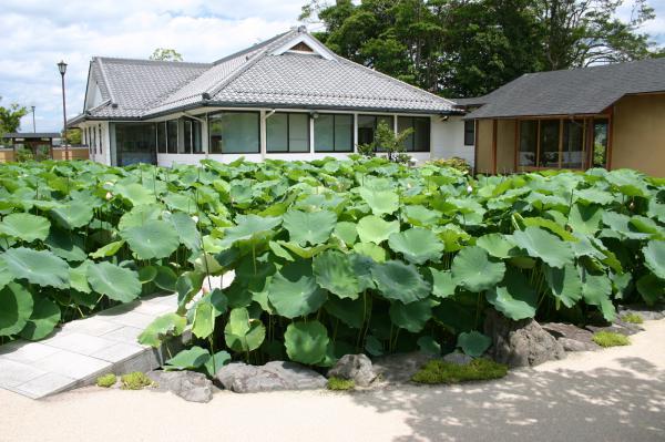 https://www.db.kansai-maas.jp/image/photos/59578dec-7eaa-42b4-b600-df7f5954f640.jpg