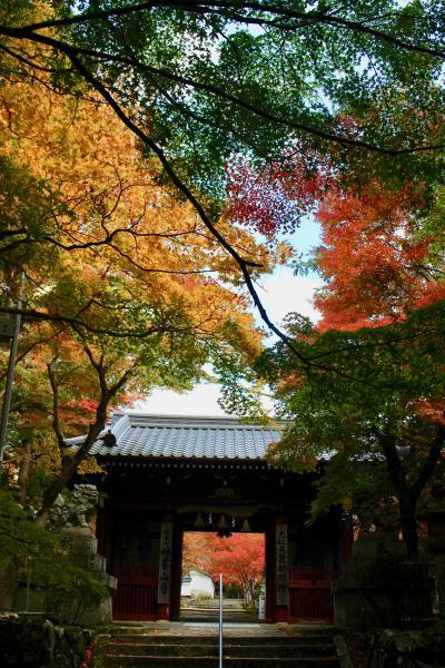 https://www.db.kansai-maas.jp/image/photos/5962236b-56eb-40c3-a7ec-745b7724d2e5.jpg