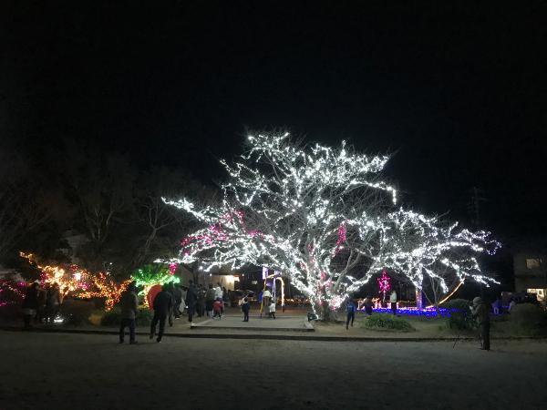 https://www.db.kansai-maas.jp/image/photos/597001eb-77b7-4f2c-b68a-aaf8df4834e5.jpg