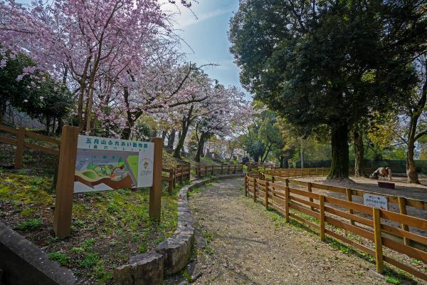 https://www.db.kansai-maas.jp/image/photos/59c4dfd4-a29f-4e37-8705-04898b45fd35.jpg