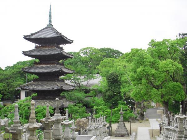 https://www.db.kansai-maas.jp/image/photos/59f89eb5-a352-467a-8efa-a2fa231b263a.jpg