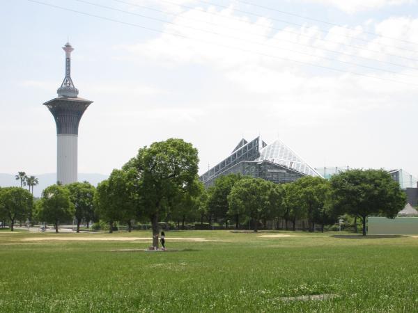 https://www.db.kansai-maas.jp/image/photos/5a75e102-6581-4f90-8cc0-14320a67bbb4.jpg
