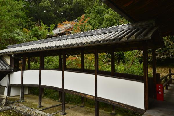 https://www.db.kansai-maas.jp/image/photos/5a827fde-98ec-4bee-a0d4-eebebe9fd44b.jpg