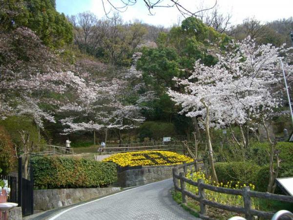 https://www.db.kansai-maas.jp/image/photos/5b0d60ae-5a65-471a-a0b9-a7111a3648a8.jpg