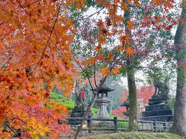 https://www.db.kansai-maas.jp/image/photos/5bcc3d3c-499a-41b7-98a2-ee7790ccd85d.jpg