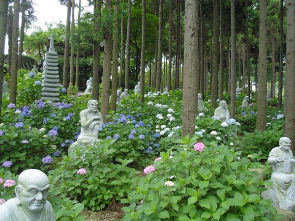 https://www.db.kansai-maas.jp/image/photos/5c15c006-6c73-470b-8161-8416b969044a.jpg