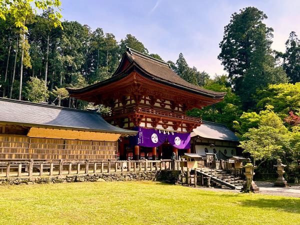 https://www.db.kansai-maas.jp/image/photos/5d6424e2-1903-4559-b592-0fa1f6ec8a90.jpg