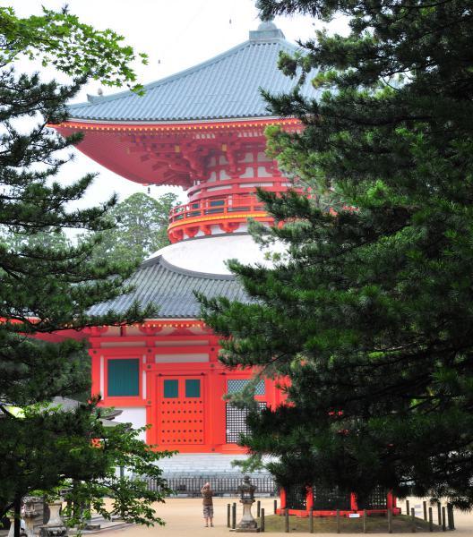 https://www.db.kansai-maas.jp/image/photos/5d8fdeca-7b2b-49cd-9f96-8c9741422474.jpg