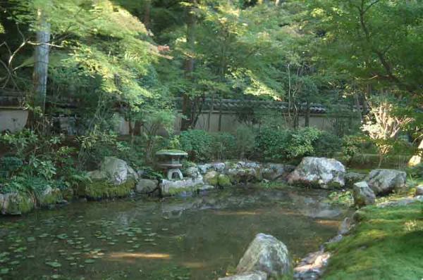https://www.db.kansai-maas.jp/image/photos/5e326b74-4997-4b16-8a14-07788e2671e1.jpg