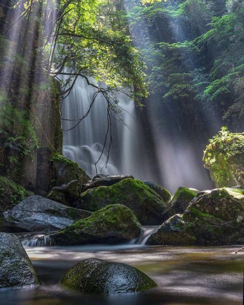 https://www.db.kansai-maas.jp/image/photos/5eec12c8-c36a-431f-97f3-48d10b91c878.jpg