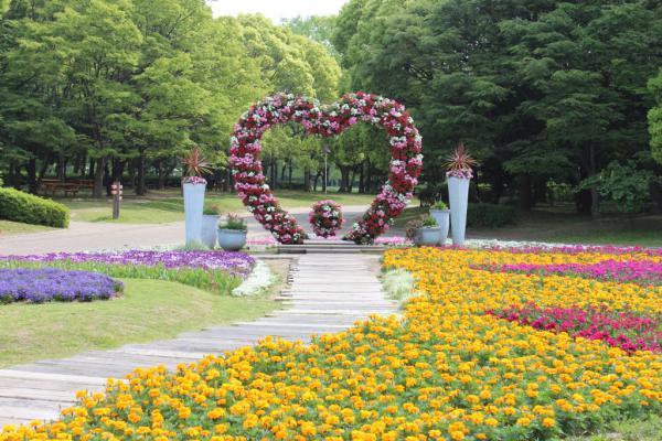 https://www.db.kansai-maas.jp/image/photos/5fca7429-d2d3-46bd-9704-a0d36a312ef2.jpg