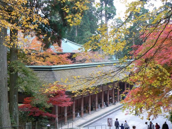 https://www.db.kansai-maas.jp/image/photos/60411687-c3e8-4430-bcac-7540be60bfe6.jpg