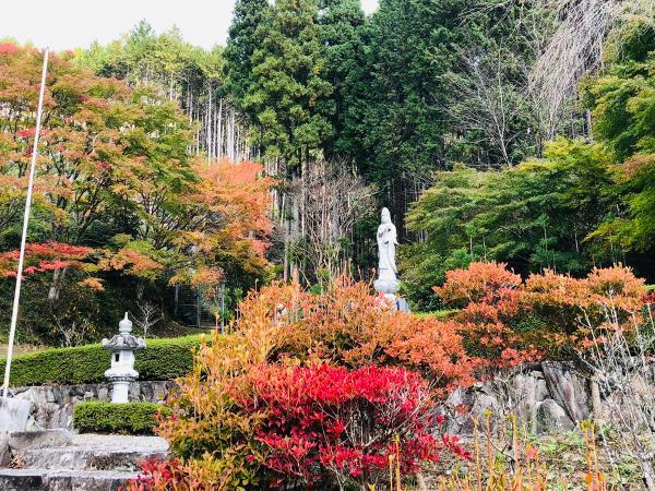 https://www.db.kansai-maas.jp/image/photos/607d16d2-bf8e-4a30-9f58-3dd7fa3683e3.jpg