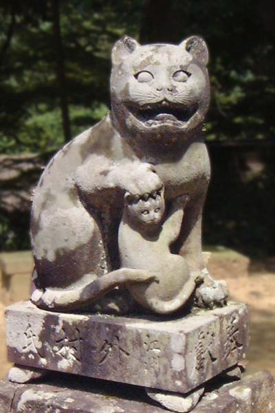 https://www.db.kansai-maas.jp/image/photos/60df8de8-b7c7-4beb-a4b6-b0e38c82dc84.jpg