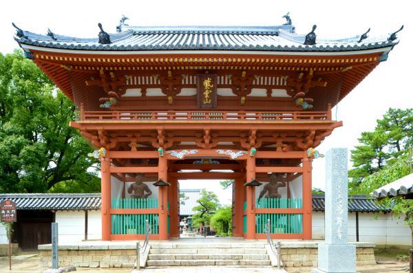 https://www.db.kansai-maas.jp/image/photos/610ae976-f928-4fd1-94ee-0efe6f9e14f2.jpg