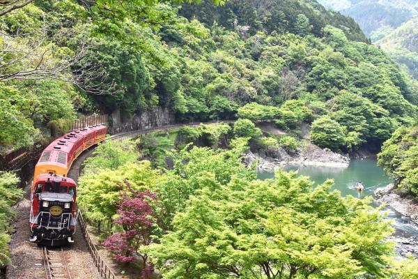 https://www.db.kansai-maas.jp/image/photos/61af5f3d-6b70-4fc0-aeca-cf9d744e96c9.jpg