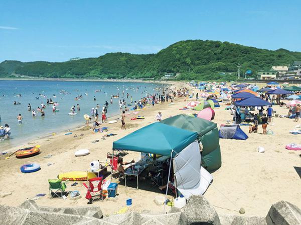 https://www.db.kansai-maas.jp/image/photos/62548941-6251-4426-a3e2-e9ed45c53941.jpg