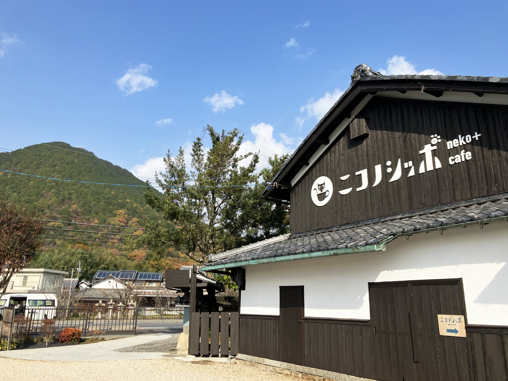 https://www.db.kansai-maas.jp/image/photos/627f160b-3cb3-4fb1-bd68-f72d89901ec1.jpg