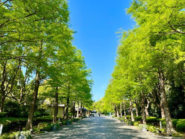 https://www.db.kansai-maas.jp/image/photos/64936a04-c958-408b-84eb-59b12aa359c4.jpg