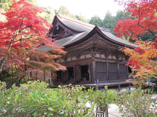 https://www.db.kansai-maas.jp/image/photos/670ca062-e103-4790-ba0e-6e68840269d9.jpg