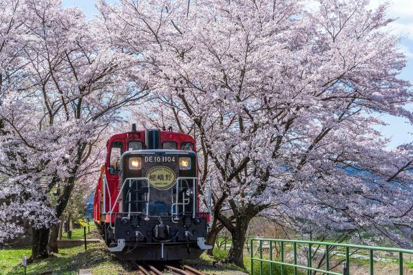 https://www.db.kansai-maas.jp/image/photos/671057ae-6a57-4360-aedf-69bb493c9aa1.jpg