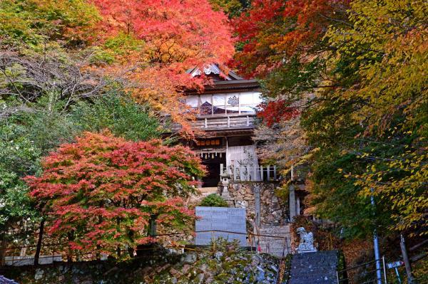 https://www.db.kansai-maas.jp/image/photos/67537e94-21c2-48b2-aa6e-b547aff5f978.jpg