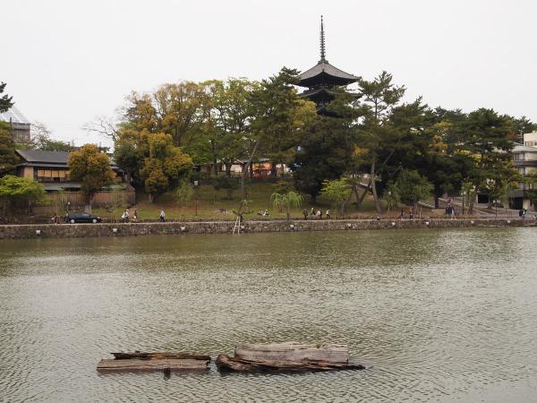 https://www.db.kansai-maas.jp/image/photos/67990ace-aa08-418f-9bcf-ccedd4d8d418.jpg