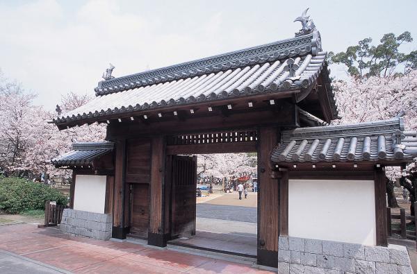 https://www.db.kansai-maas.jp/image/photos/67f976a0-76ab-43aa-992c-4462f0779763.jpg