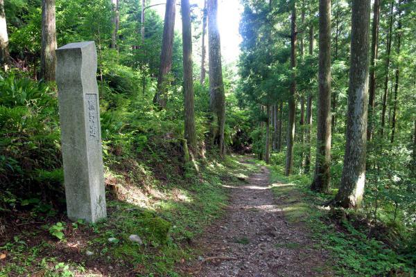https://www.db.kansai-maas.jp/image/photos/686d2446-f7ad-4707-8536-ea8c9cb25266.jpg