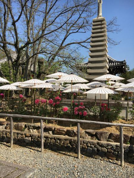 https://www.db.kansai-maas.jp/image/photos/68a34d4c-bb36-4430-a0b0-cd3c0bbd9108.jpg