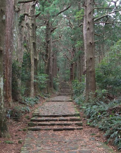 https://www.db.kansai-maas.jp/image/photos/691453a9-fc09-4459-b9b0-f992dfc66a6a.jpg