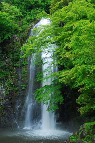 https://www.db.kansai-maas.jp/image/photos/6995af76-400c-4a61-96ce-37ece25b3566.jpg